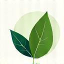 Eco-friendly cleaning icon
